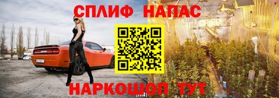 прущий лед Будённовск