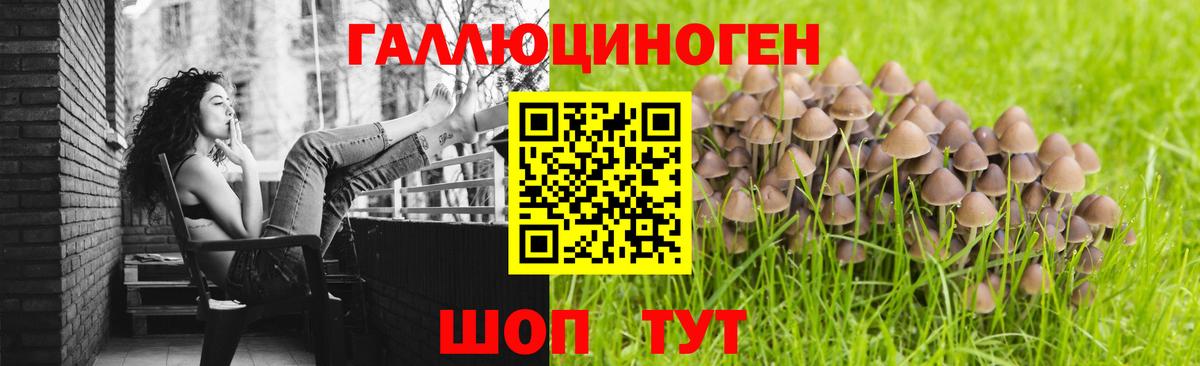Лениногорск  Галлюциногенные грибы GOLDEN TEACHER  Вход с VPN 